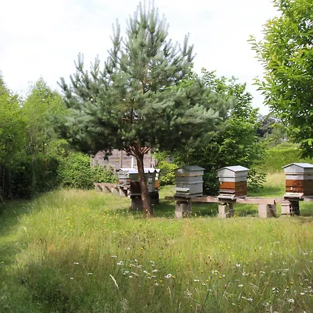 Venkovský dům Paisible En Foret Avec Terrasse, 4 Personnes - Fr-1-589-322
