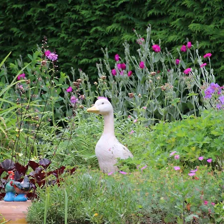 Prázdninový dům Paisible En Foret Avec Terrasse, 4 Personnes - Fr-1-589-322 *