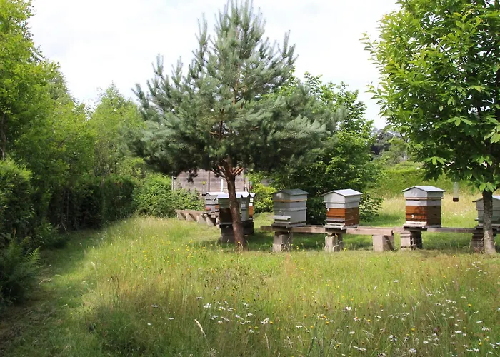 度假居 Paisible En Foret Avec Terrasse, 4 Personnes - Fr-1-589-322