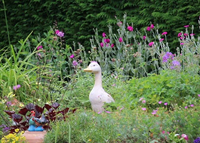 度假居 Paisible En Foret Avec Terrasse, 4 Personnes - Fr-1-589-322 *